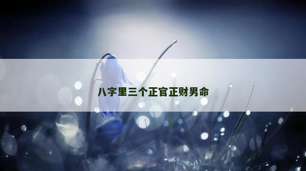 八字里三個(gè)正官正財(cái)男命