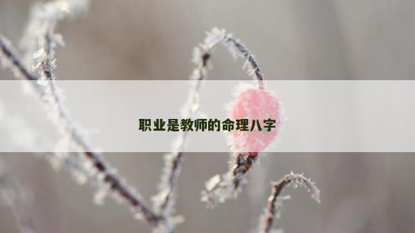 職業(yè)是教師的命理八字
