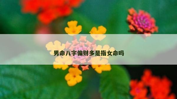 男命八字偏財多是指女命嗎 男命八字偏財多是指女命嗎