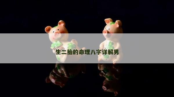 生二胎的命理八字詳解男