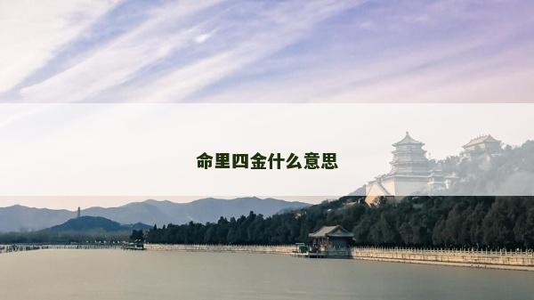 命里四金什么意思