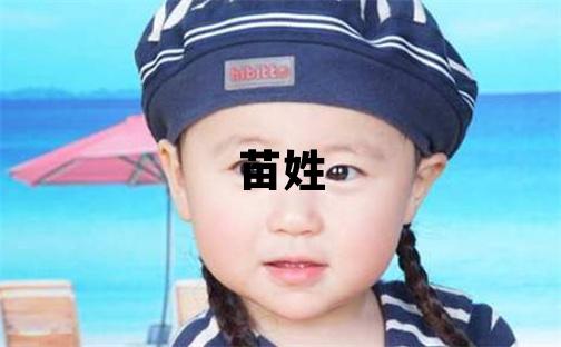 苗姓取名大氣文雅的男寶寶名字