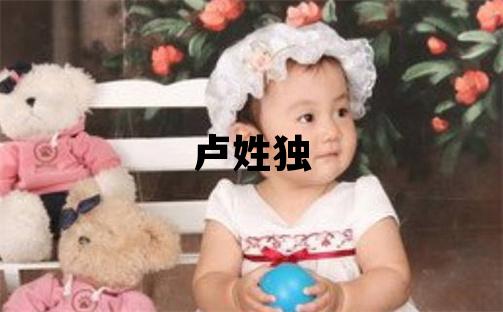 盧姓獨特優美的男孩名字