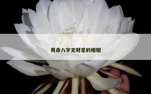 男命八字無財(cái)星的婚姻