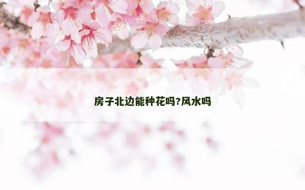 房子北邊能種花嗎?風水嗎