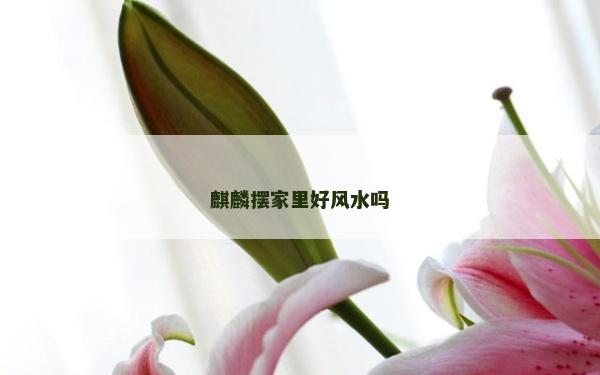 麒麟擺家里好風水嗎
