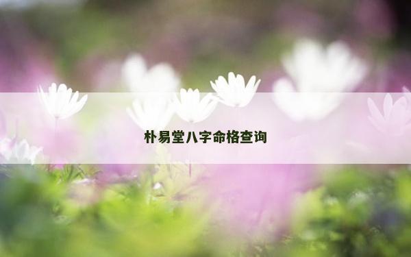 樸易堂八字命格查詢