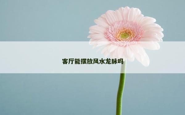 客廳能擺放風(fēng)水龍脈嗎