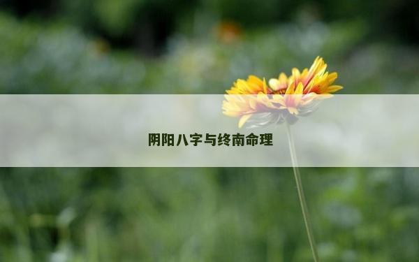 陰陽八字與終南命理