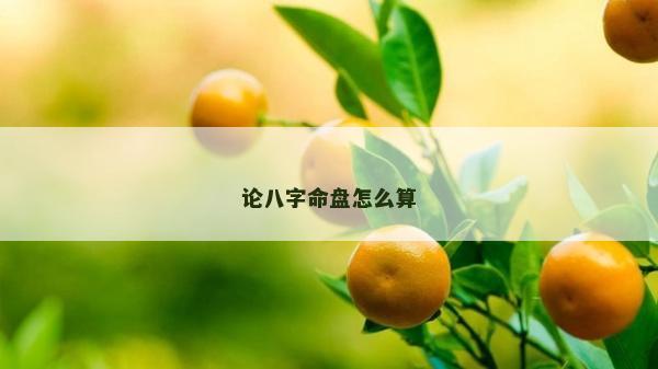 論八字命盤怎么算 論八字命盤怎么算