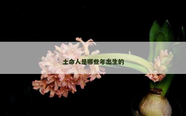 土命人是哪些年出生的