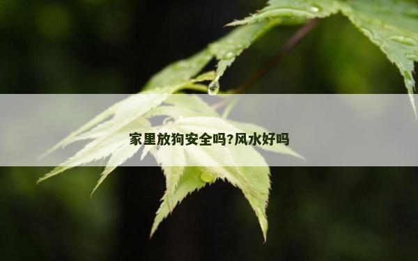 家里放狗安全嗎?風(fēng)水好嗎 家里放狗安全嗎?風(fēng)水好嗎