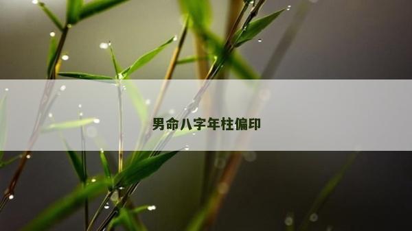 男命八字年柱偏印