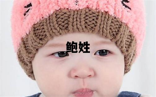 鮑姓取名有涵養的男寶寶名字