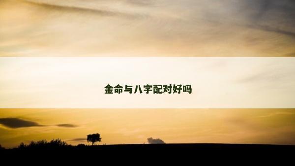 金命與八字配對好嗎