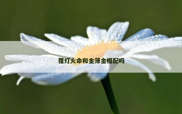 覆燈火命和金薄金相配嗎 覆燈火命和金薄金相配嗎