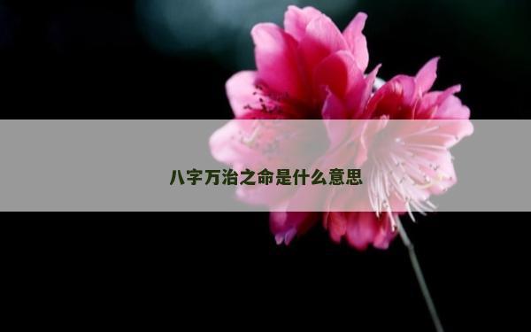 八字萬治之命是什么意思