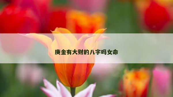 庚金有大財的八字嗎女命