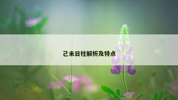 己未日柱解析及特點(diǎn)