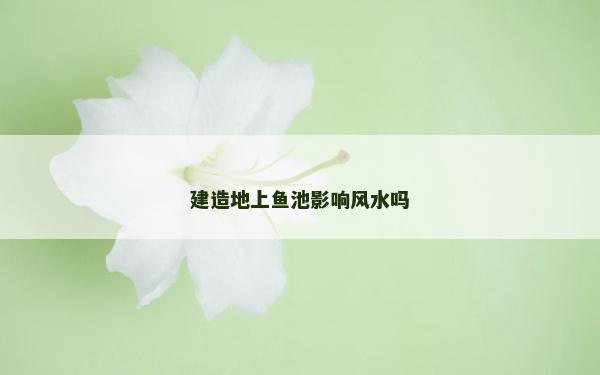 建造地上魚池影響風水嗎 建造地上魚池影響風水嗎