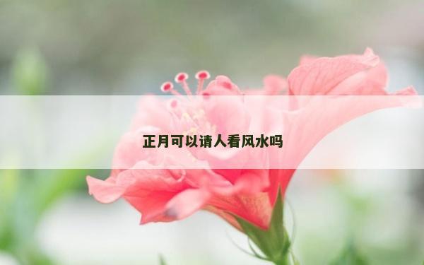 正月可以請人看風水嗎