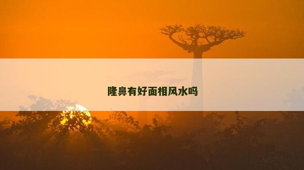 隆鼻有好面相風水嗎
