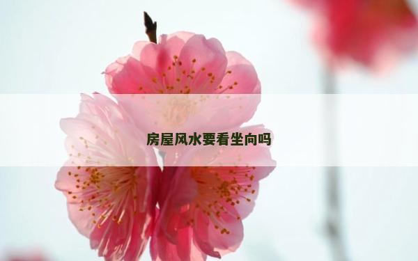 房屋風水要看坐向嗎