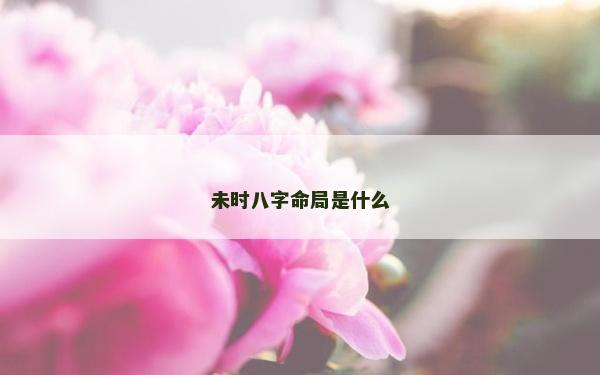 未時(shí)八字命局是什么