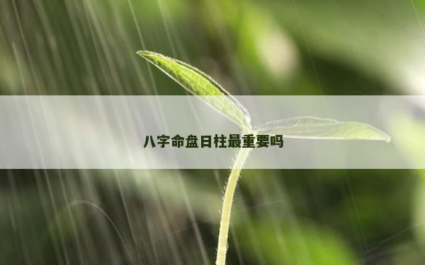 八字命盤日柱最重要嗎