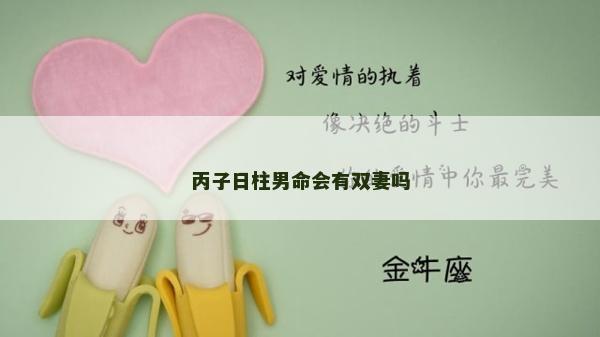 丙子日柱男命會有雙妻嗎