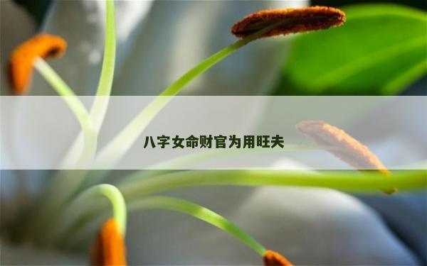 八字女命財官為用旺夫