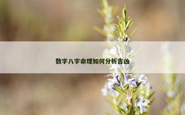 數字八字命理如何分析吉兇