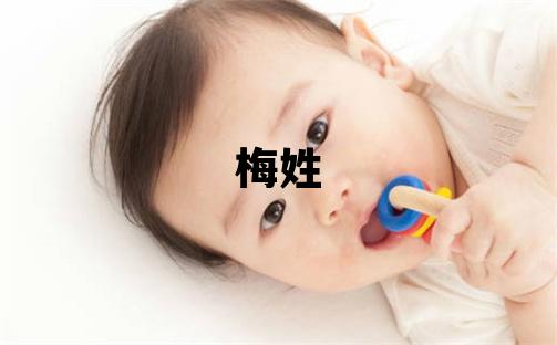 梅姓朗朗上口的男寶寶名字