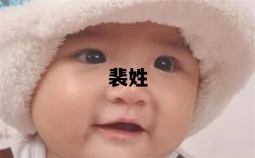 裴姓優美大方的男孩名字