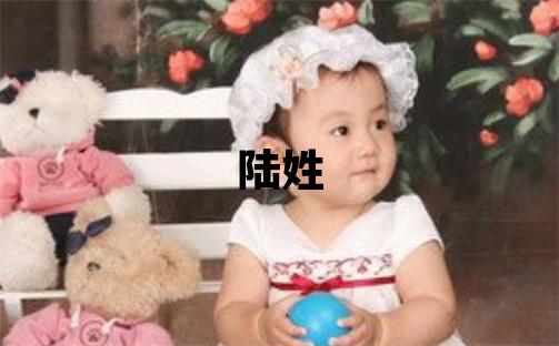 陸姓取名獨特優美的男寶寶名字